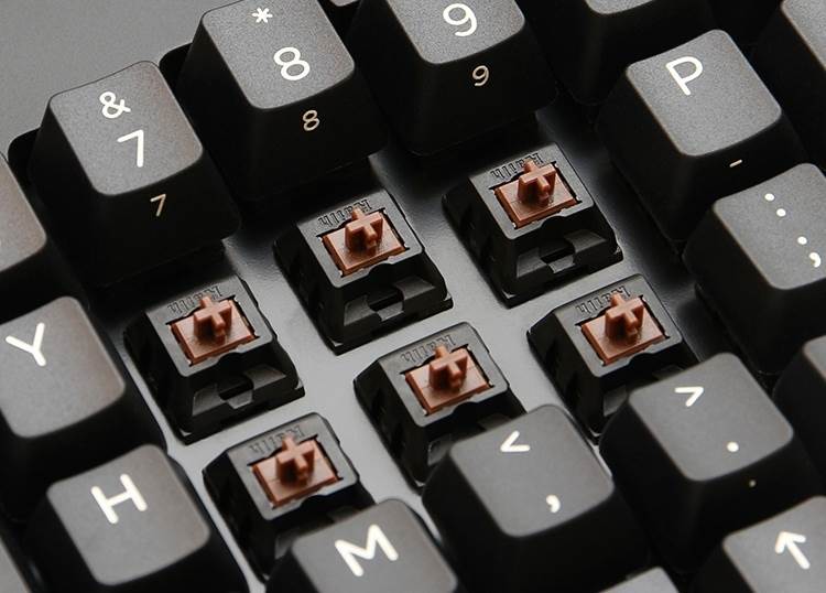 switch marrón de los teclados